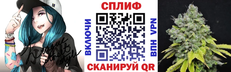 Бошки Шишки ГИДРОПОН  маркетплейс официальный сайт  Змеиногорск 